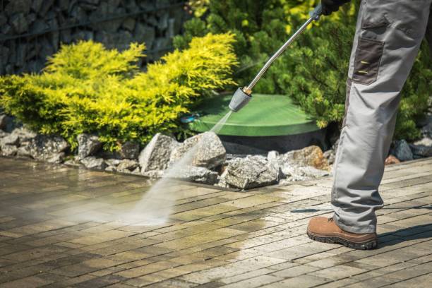 Best Playground Equipment Cleaning  in Lake Shore, WA